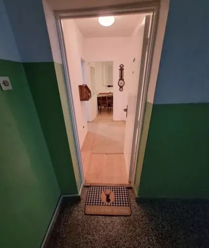 Paje Jovanovića 11 | 4zida.rs