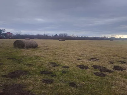 Radomira Stanojevića | 4zida.rs