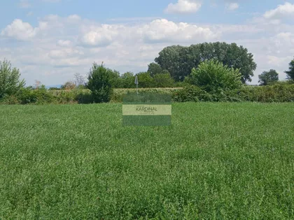 Novo Lanište | 4zida.rs