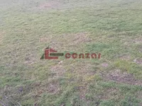 Dudova Šuma, Gradske lokacije, Subotica | 4zida.rs