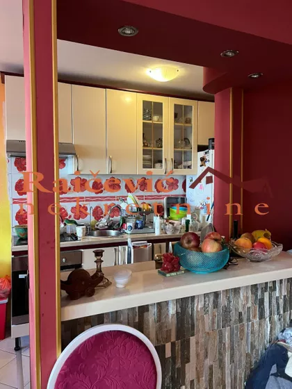 Dr Ivana Ribara | 4zida.rs