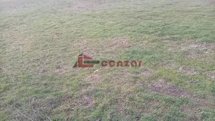 Dudova Šuma | 4zida.rs