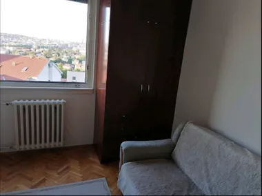 Vojvode Stepe