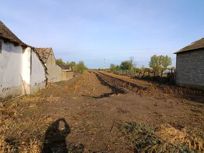 Kamenova 7 | 4zida.rs