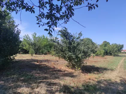 Kozaračka | 4zida.rs