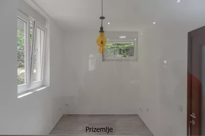 Cara Dušana | 4zida.rs