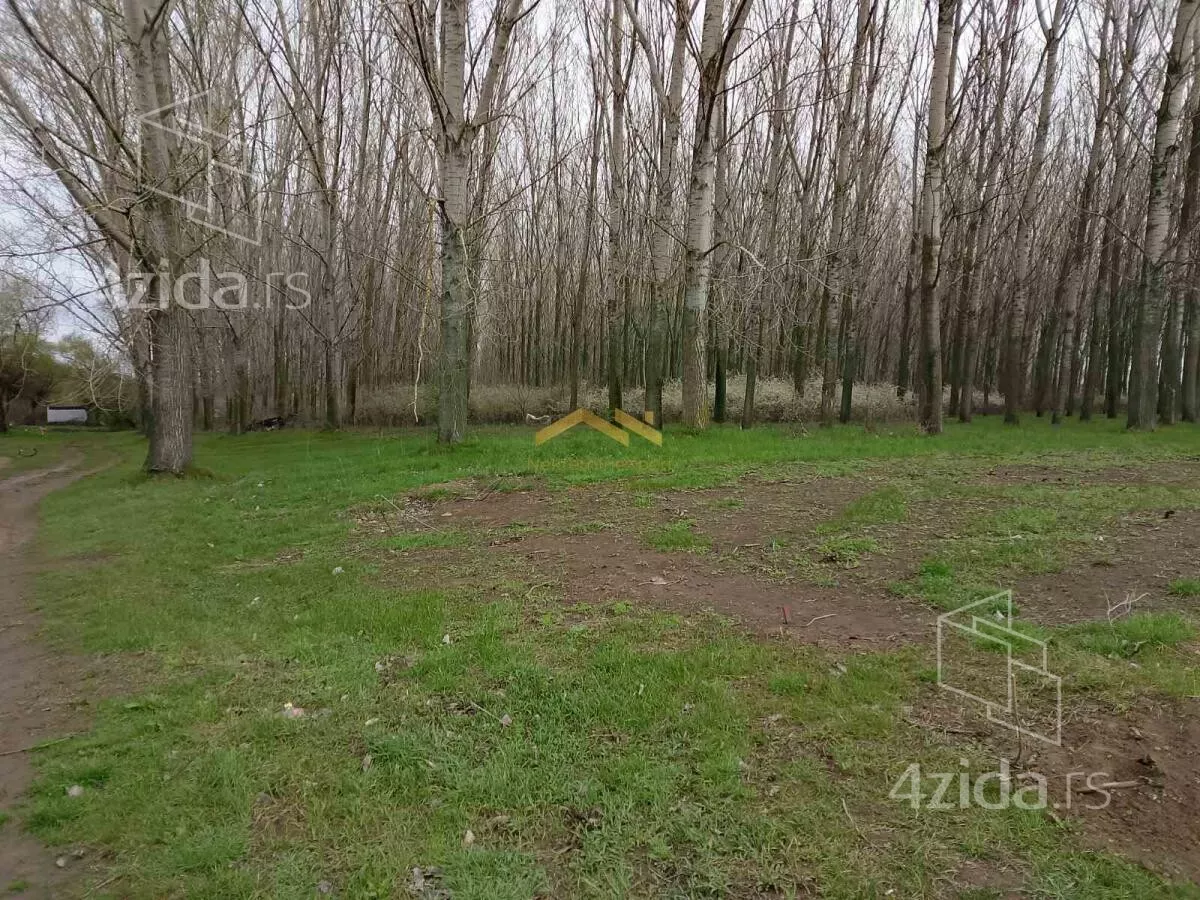 Plac | 4zida