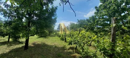Vrdnik | 4zida.rs