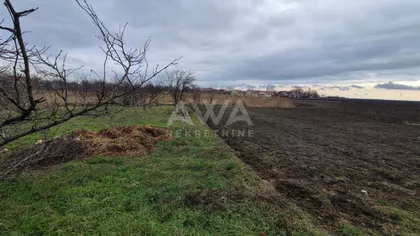 Bački Brestovac | 4zida.rs
