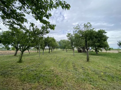 Borča | 4zida.rs