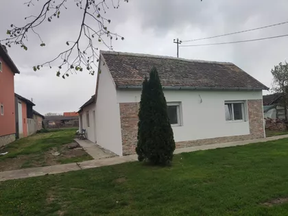 Žarka Zrenjanina | 4zida.rs