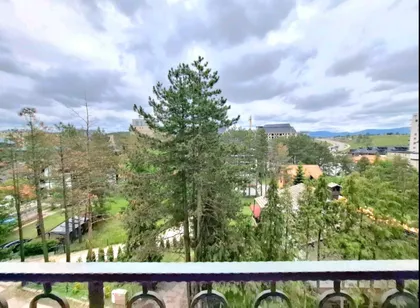 Drinske Divizije | 4zida.rs