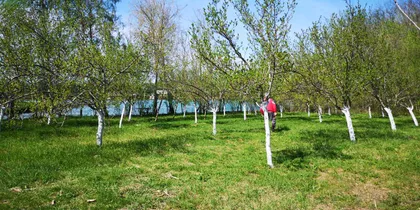 Salaš Noćajski | 4zida.rs