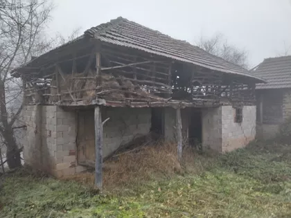 Zmaj Jovina | 4zida.rs