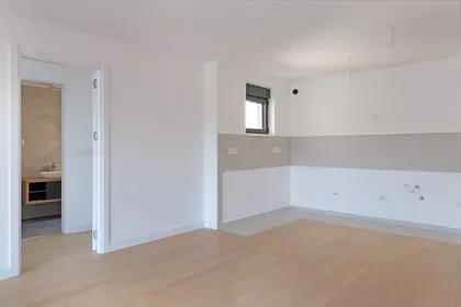 JOVE ILICA | 4zida.rs