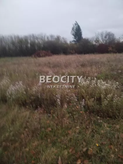 Zarka Bajica | 4zida.rs