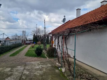 Petrovaradin | 4zida.rs