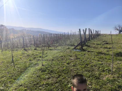 Goločelska | 4zida.rs