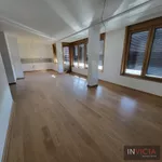 Novi Sad, Gradske lokacije, Podbara | 4zida.rs | 4zida.rs