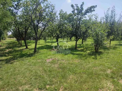 Male Pčelice | 4zida.rs