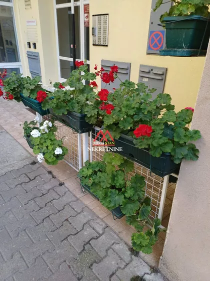 Bulevar Oslobođenja | 4zida.rs