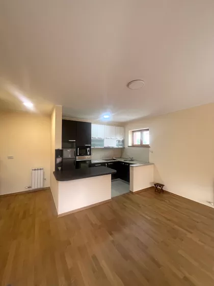 MILANA BLAGOJEVICA SPANCA | 4zida.rs