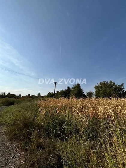 Čortanovci | 4zida.rs