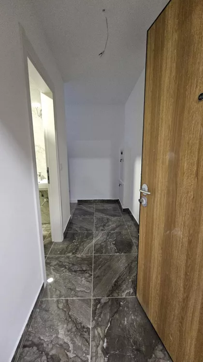 Cara Dušana | 4zida.rs