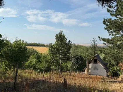 Kamenička | 4zida.rs