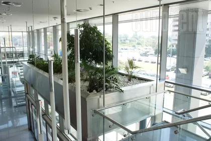 TREŠNJINOG CVETA | 4zida.rs