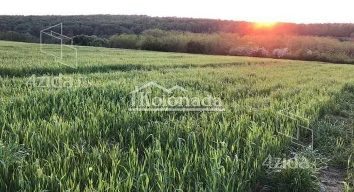 Poljoprivredno zemljište | 4zida
