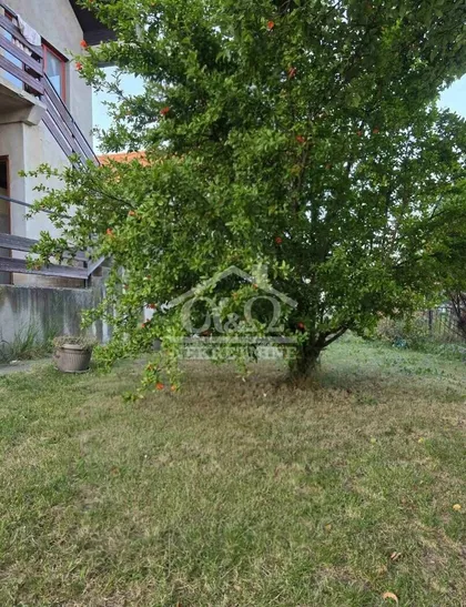 Vinogradi | 4zida.rs