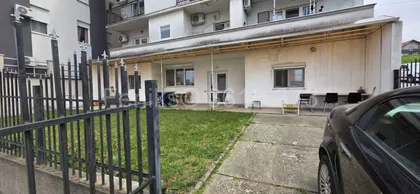 Zore Drempetić | 4zida.rs