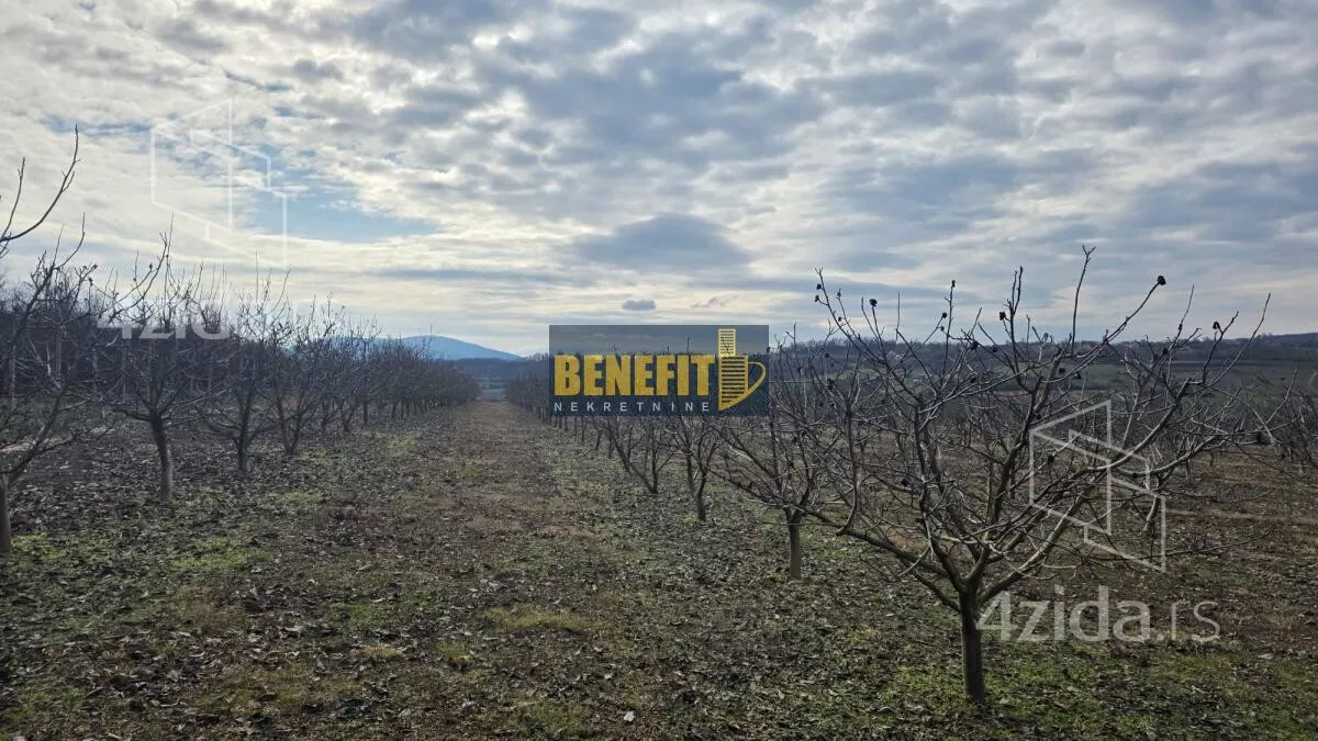 Poljoprivredno zemljište | 4zida