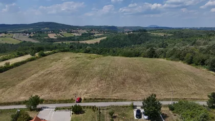 Vitomira Nikolića | 4zida.rs