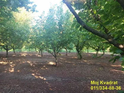 Nova Pazova | 4zida.rs