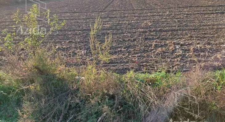 Poljoprivredno zemljište | 4zida