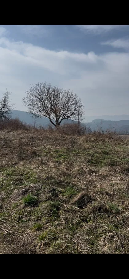 Valjevska | 4zida.rs
