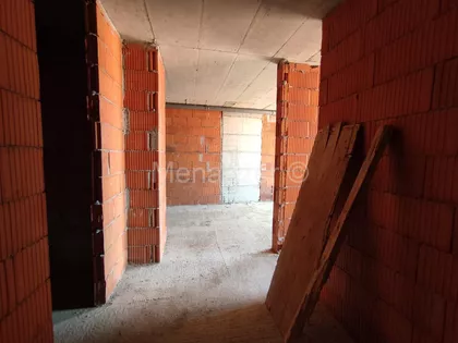 Torlačka | 4zida.rs