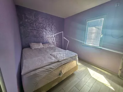 Živana Nikolića | 4zida.rs