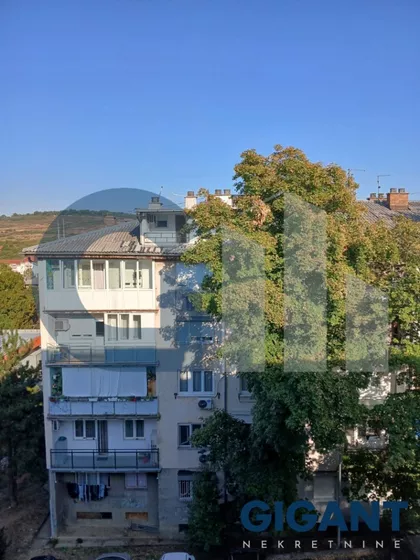 Dr. Nika Miljanića | 4zida.rs