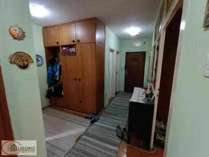 Žarka Vasiljevića | 4zida.rs