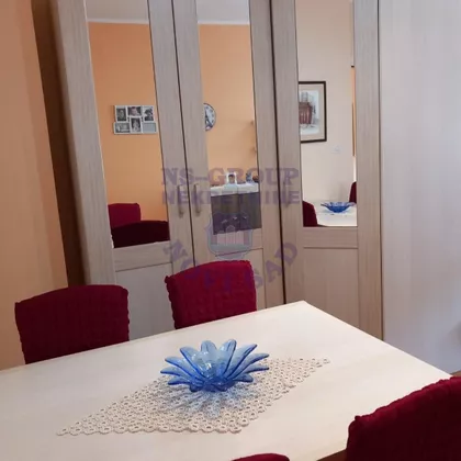 Salajka | 4zida.rs