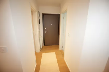 Lekino Brdo | 4zida.rs