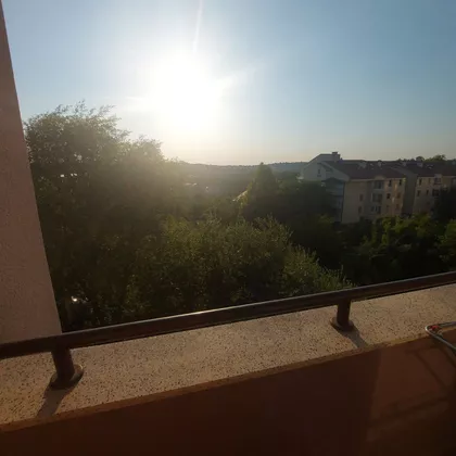 Ilije Pavlovića | 4zida.rs