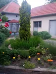 Vučkovica, Okolne lokacije, Knić | 4zida.rs | 4zida.rs