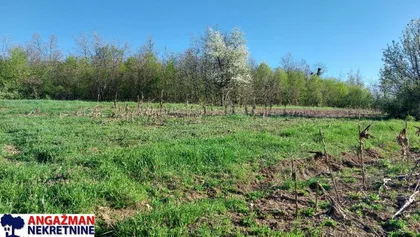 Bačevička | 4zida.rs