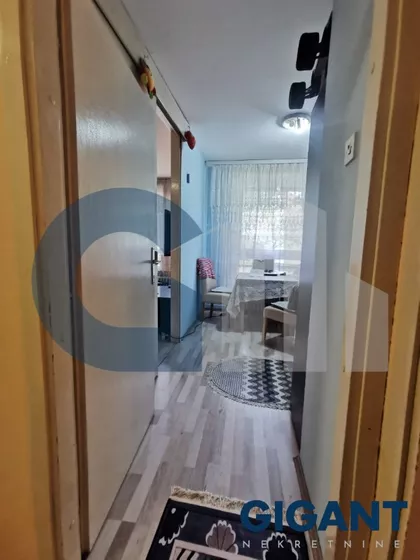 Svetozara Papića | 4zida.rs