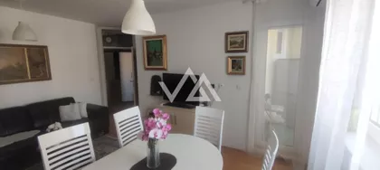 Timočke divizije | 4zida.rs