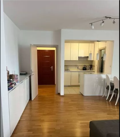 Petra Drapšina | 4zida.rs